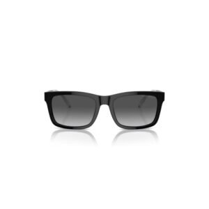 Emporio Armani 0EA4224 5017T357